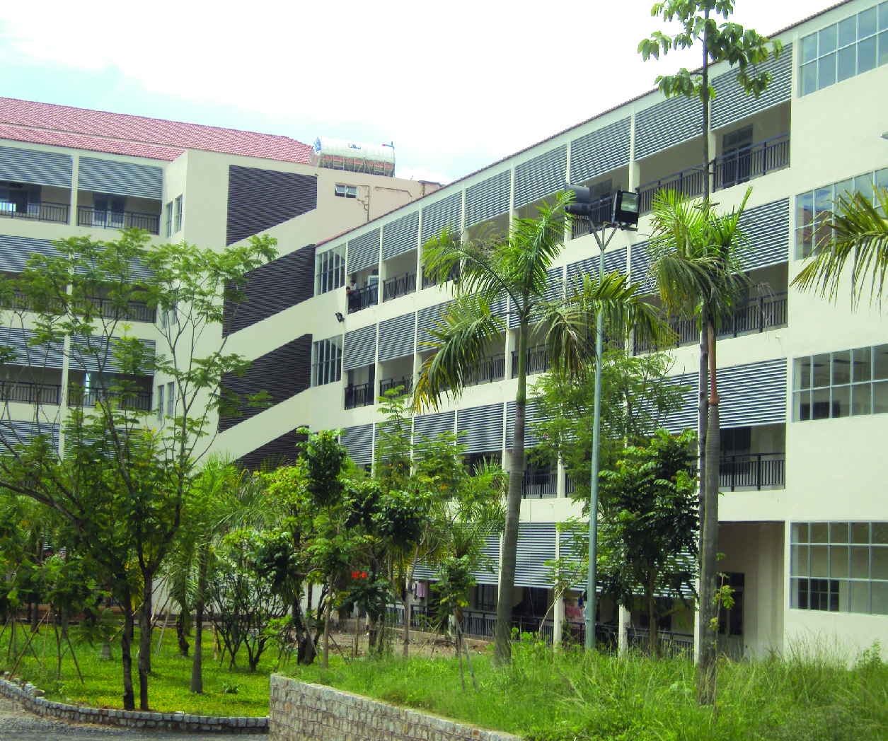 LAM CHẮN NẮNG DML 80S